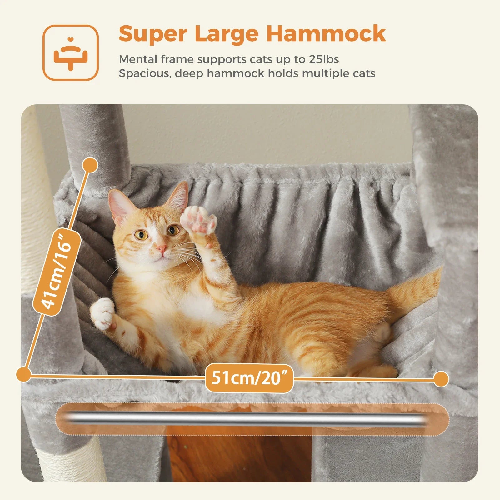 Cat Essentials