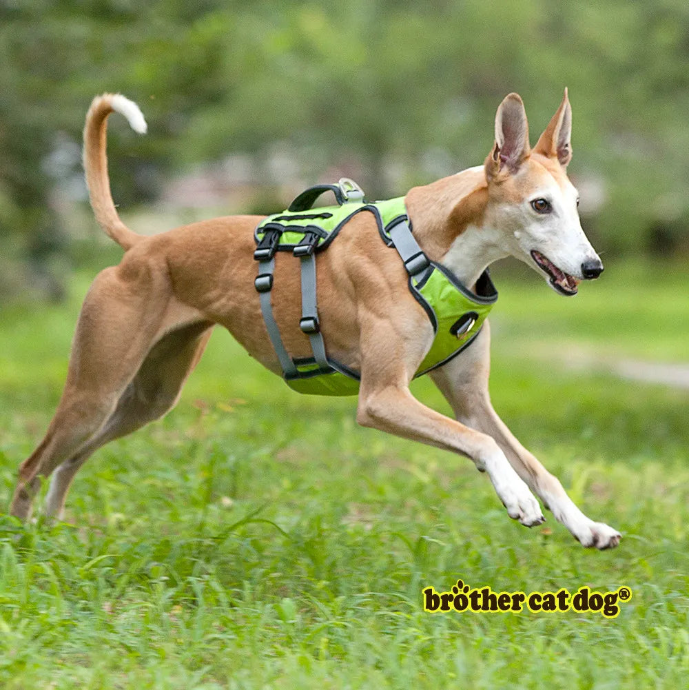 ON SALE Dog Harness Training Vest For Medium Big Dogs Adjustable Strong Outdoor Adventure Travel Harness Pitbull Dropshipping