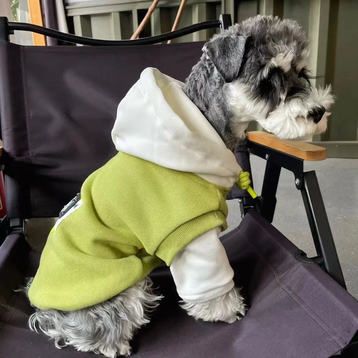 Winter Dog Drawstring Hooded Sweatshirt, Warm Dog Coat, Pet Clothes for Cats And Small Medium Dogs, Pet Costume, Chihuahua