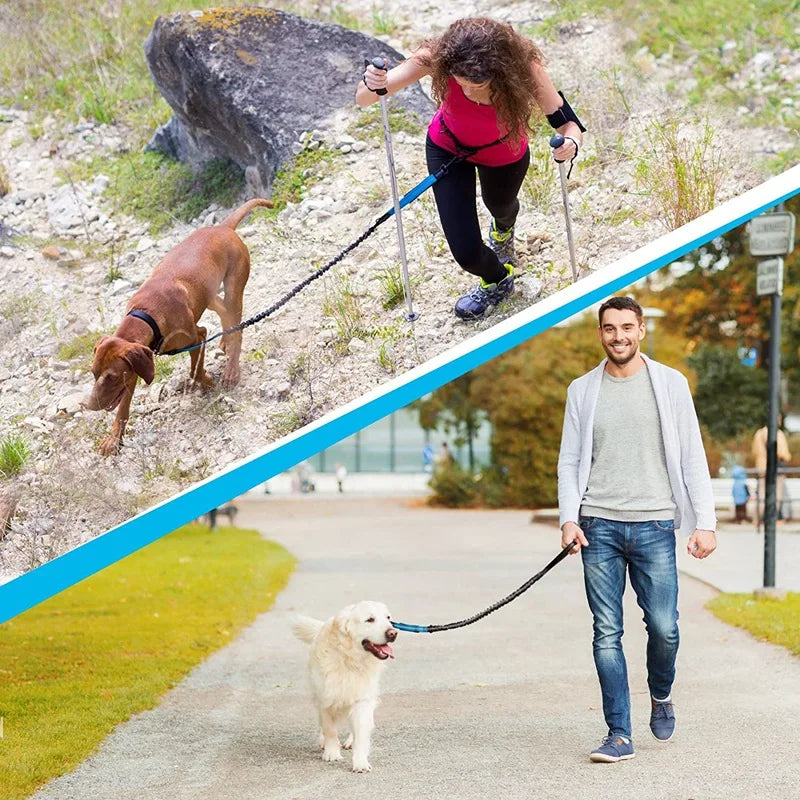 Double elastic reflective running leash portable retractable dog leash dog chain leash pet supplies wholesale