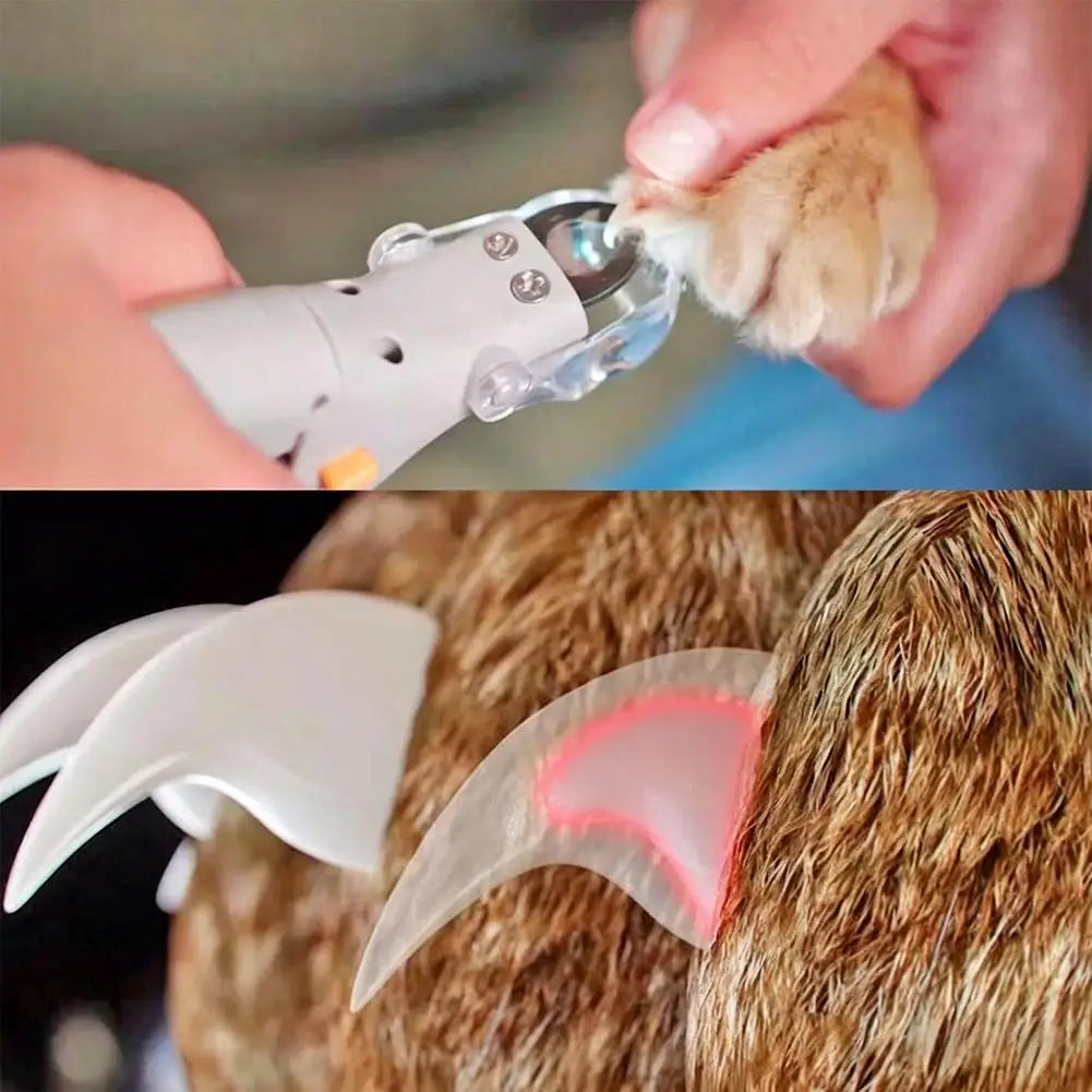 LED Light Pet Nail Clippers With Safety Guard And Nail Catcher Easy To Use Nail Trimmer For Dogs Cats And Small Pets At Home