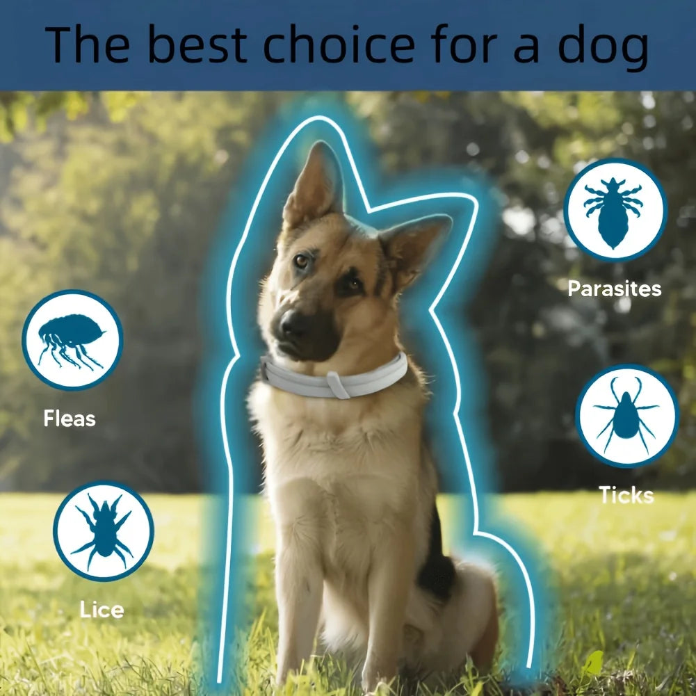 1pc Dog Calming Collar Free From Chemical Additives or Pesticides or Small Medium and Large Dogs Collar Adjustable Collar