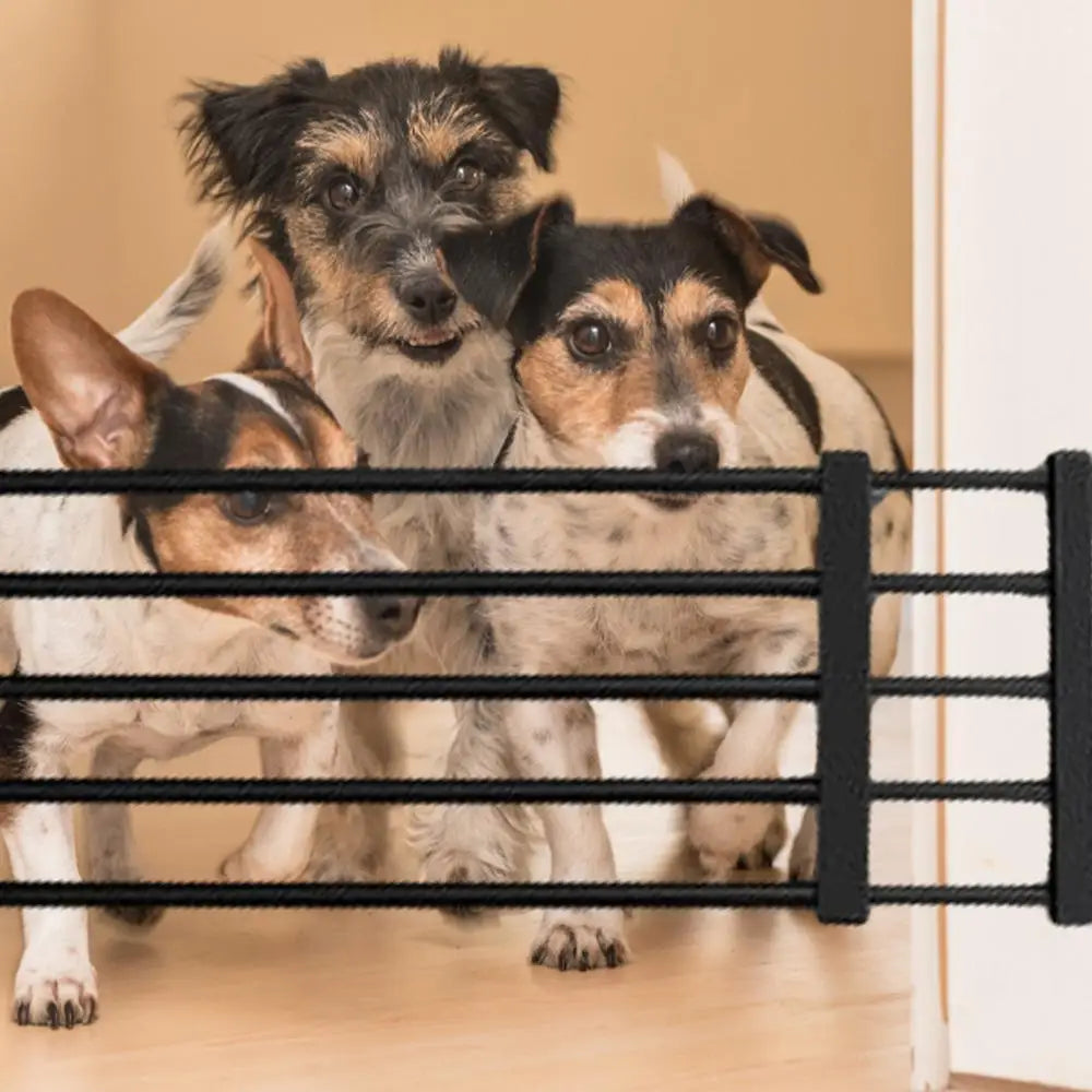 Indoor Dog Gate Retractable Freestanding Fence Nail-free Household Reusable Door For Small Medium Dogs Puppy Fence Pets supplies