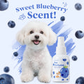 Pet Deodorizing Perfume Spray Dogs Cats Natural Long Lasting Fresh Scent Blueberry Grooming Alcohol-Free Odor Control Portable