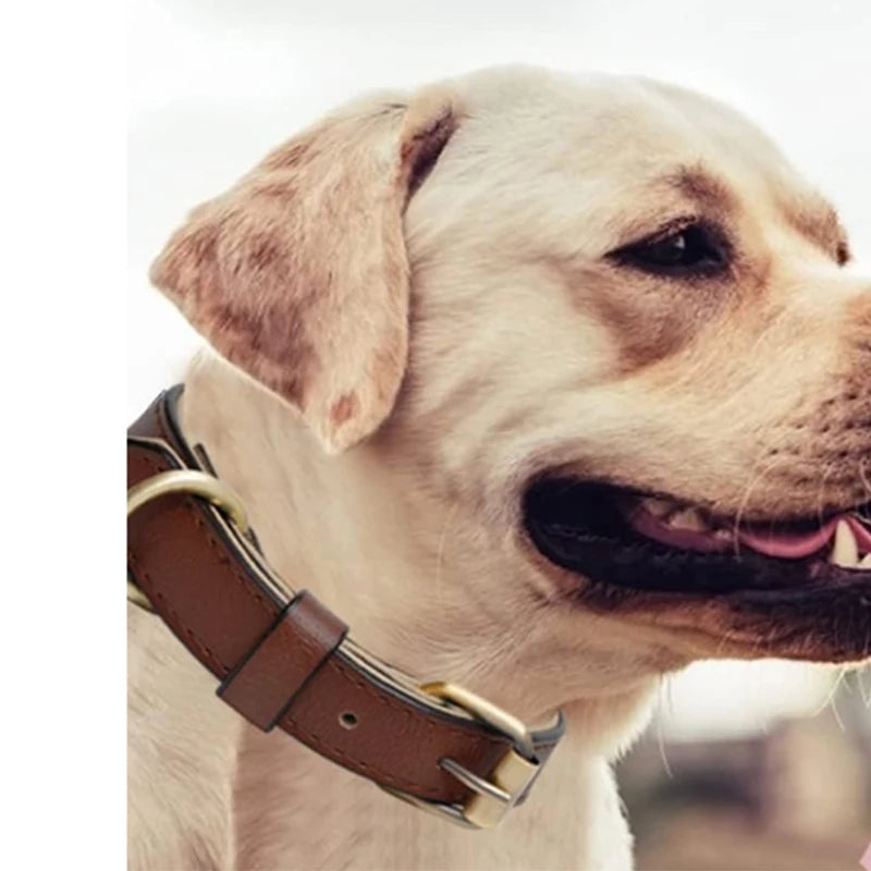 Leather Dog Collar With Soft Padded Leather Dog Collars Heavy Duty with Adjustable for Medium Large Dogs Brown