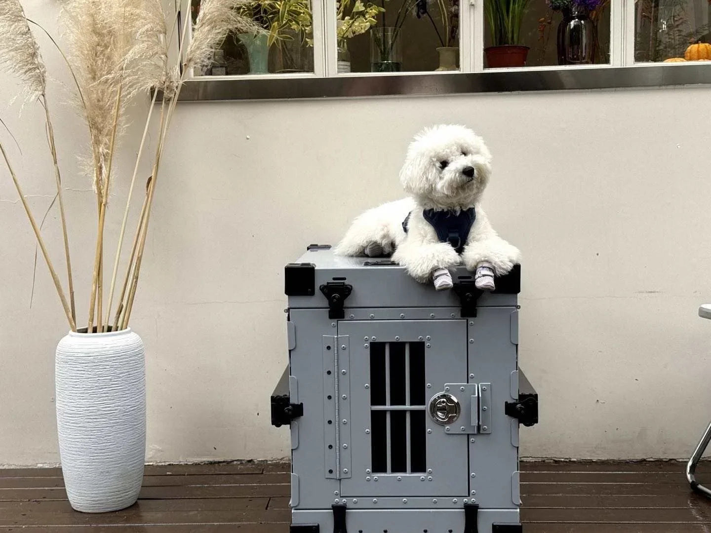 Heavy Duty Fully Collapsible Dog Crate Aluminium Alloy Medium and Large Dogs Dog Crate Folding Pet Car Crate Camping Travel