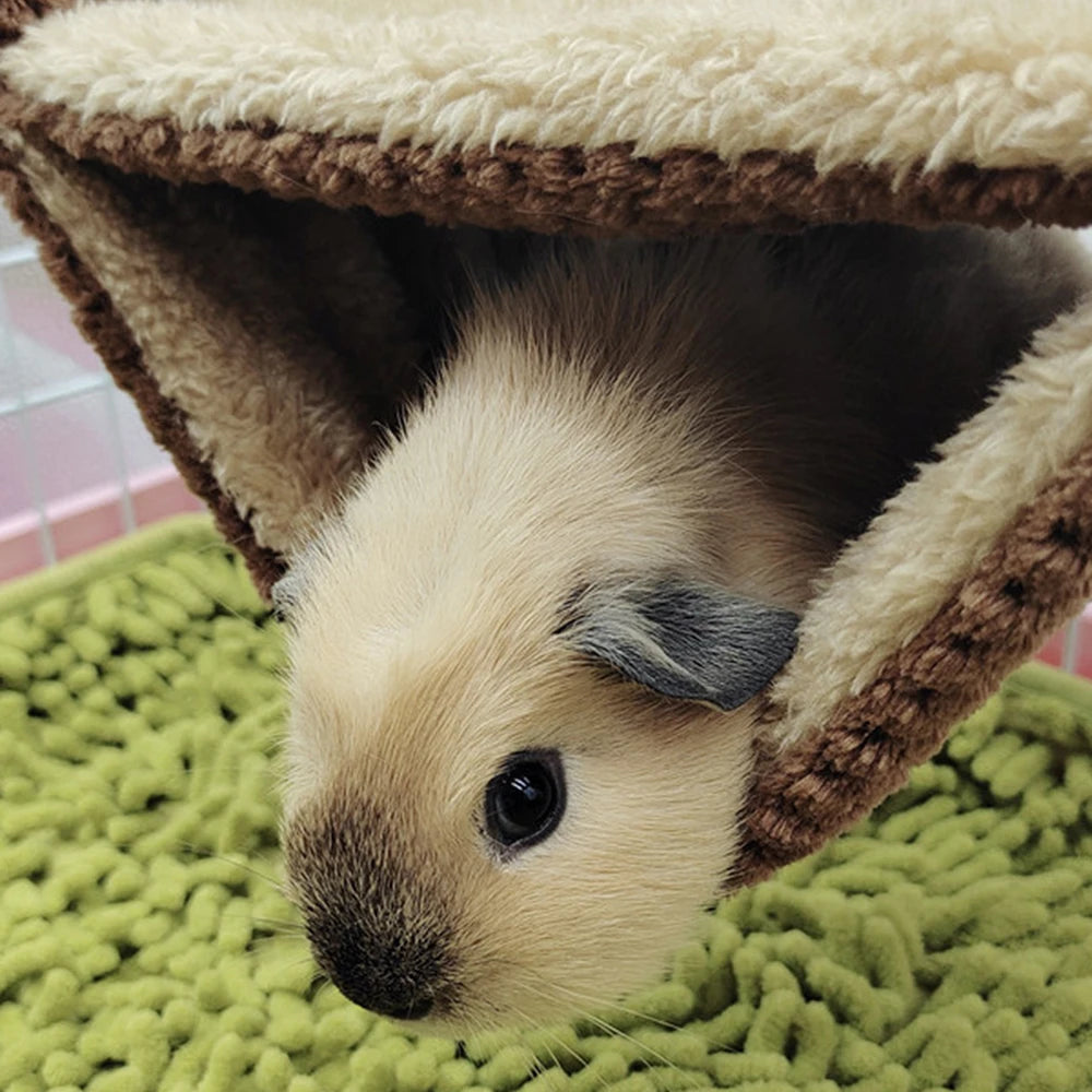 Guinea Pigs Hamster Warm Hammock Honey Possum Squirrel Hanging Nest Bed Gold Silk Bear Chinchillas Jumping Pet Toy