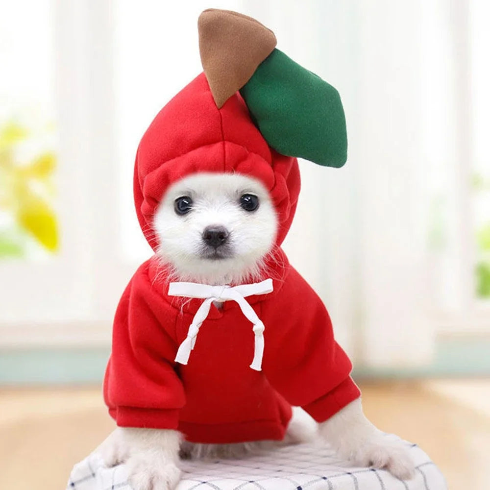 Pet Dog Winter Sweatshirt – Cute Costume with Hood & Two-Leg Fit, Warm Soft Pullover for Small/Medium/Large Dogs ﻿