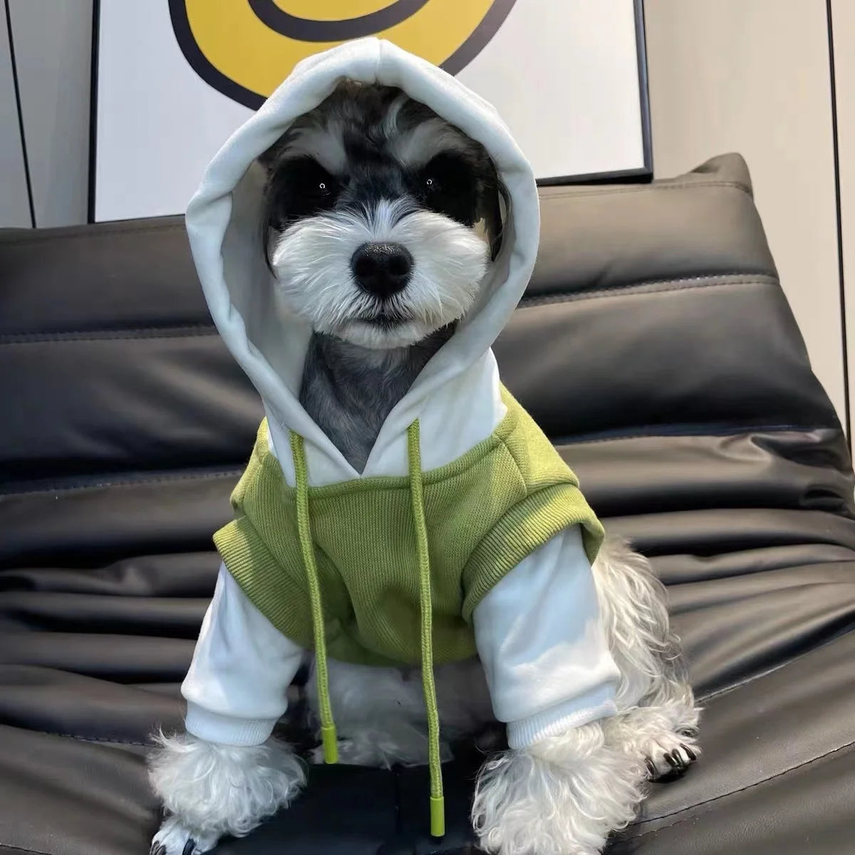 Winter Dog Drawstring Hooded Sweatshirt, Warm Dog Coat, Pet Clothes for Cats And Small Medium Dogs, Pet Costume, Chihuahua