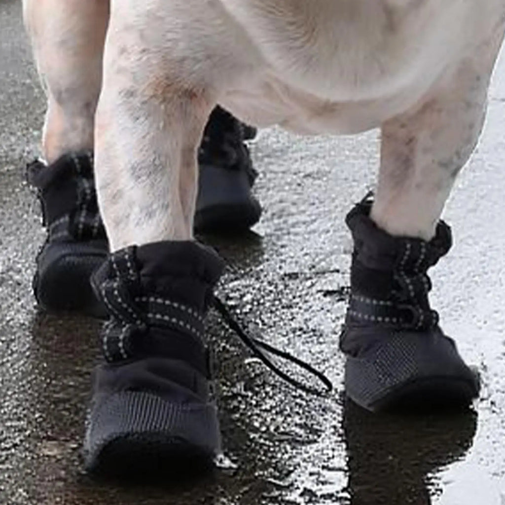 4pcs Dog Boots Anti Slip Pet Paw Shoes Wound Recovery Protective Booties for Outdoor Summer Rain Winter Snow Pet Supplies