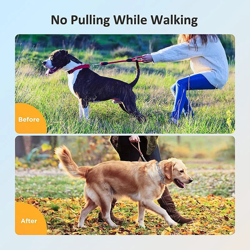 Dog Training Collar Adjustable Metal Choke Spike Chain with Rubber Tips Pet Supplies Prong Collar for Small Medium Large Dogs