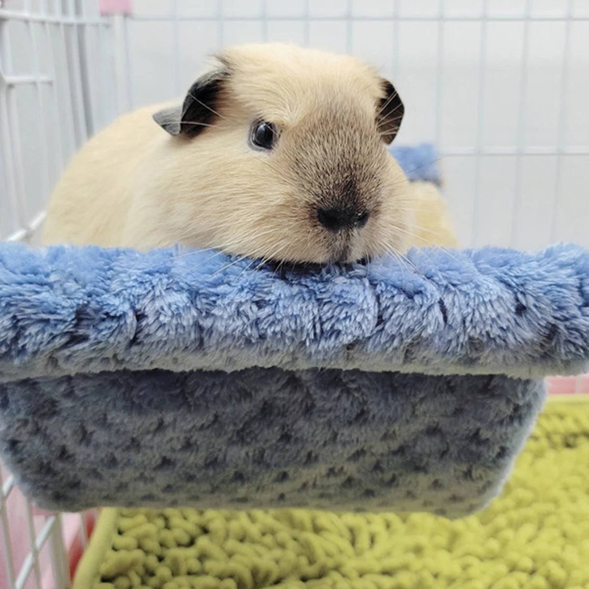 Guinea Pigs Hamster Warm Hammock Honey Possum Squirrel Hanging Nest Bed Gold Silk Bear Chinchillas Jumping Pet Toy