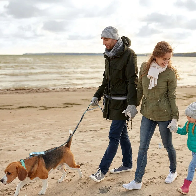 Double elastic reflective running leash portable retractable dog leash dog chain leash pet supplies wholesale
