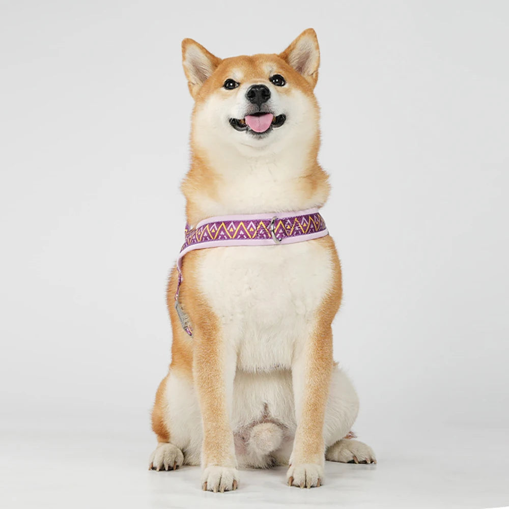 Dog Harness Fashion Printed Saddle, Soft Adjustable No-pull Padded  Vest with Handle for pet all  Breeds