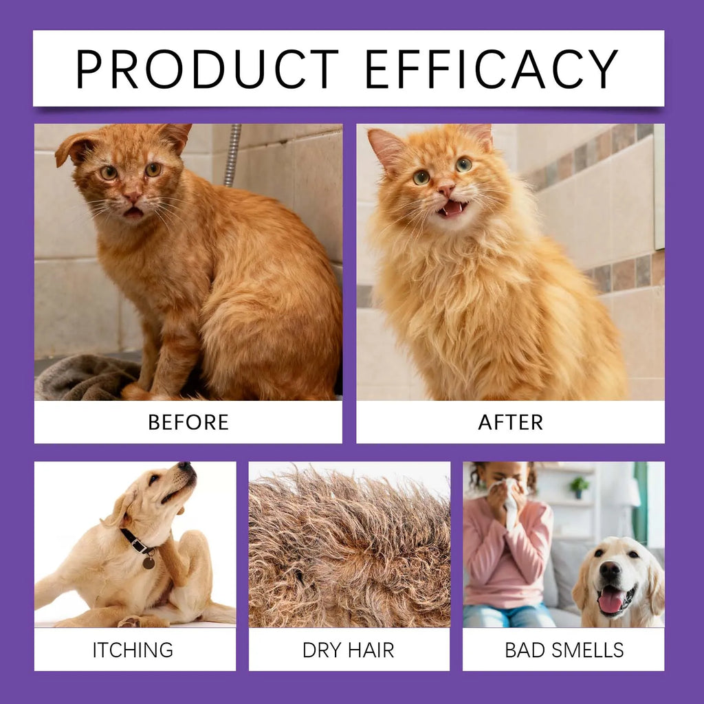 5-Minute Waterless Dog Shampoo Foam | Quick Clean & Deodorize Between Baths | Allantoin Formula for Soft Shiny Coat Dry Shampoo
