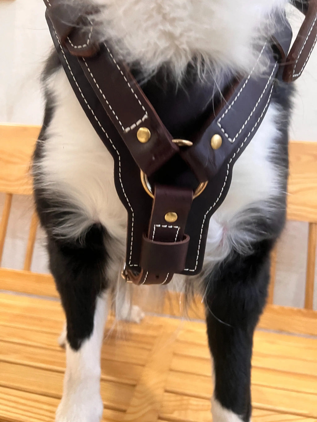 Genuine Leather Y-Shaped Dog Harness  Adjustable Neck  Chest Pull-Proof, Durable for Large Dogs Handcrafted Full Grain Leather