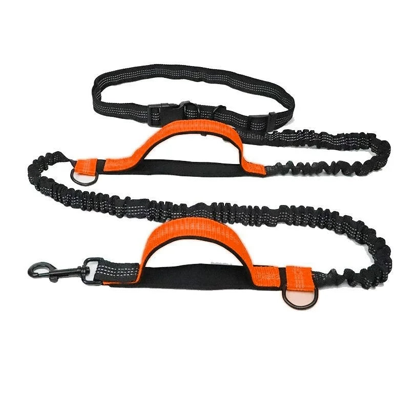 Double elastic reflective running leash portable retractable dog leash dog chain leash pet supplies wholesale