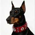 1 piece of dog collar with rivets, red, fashionable, cool, street punk style, suitable for daily outings and play