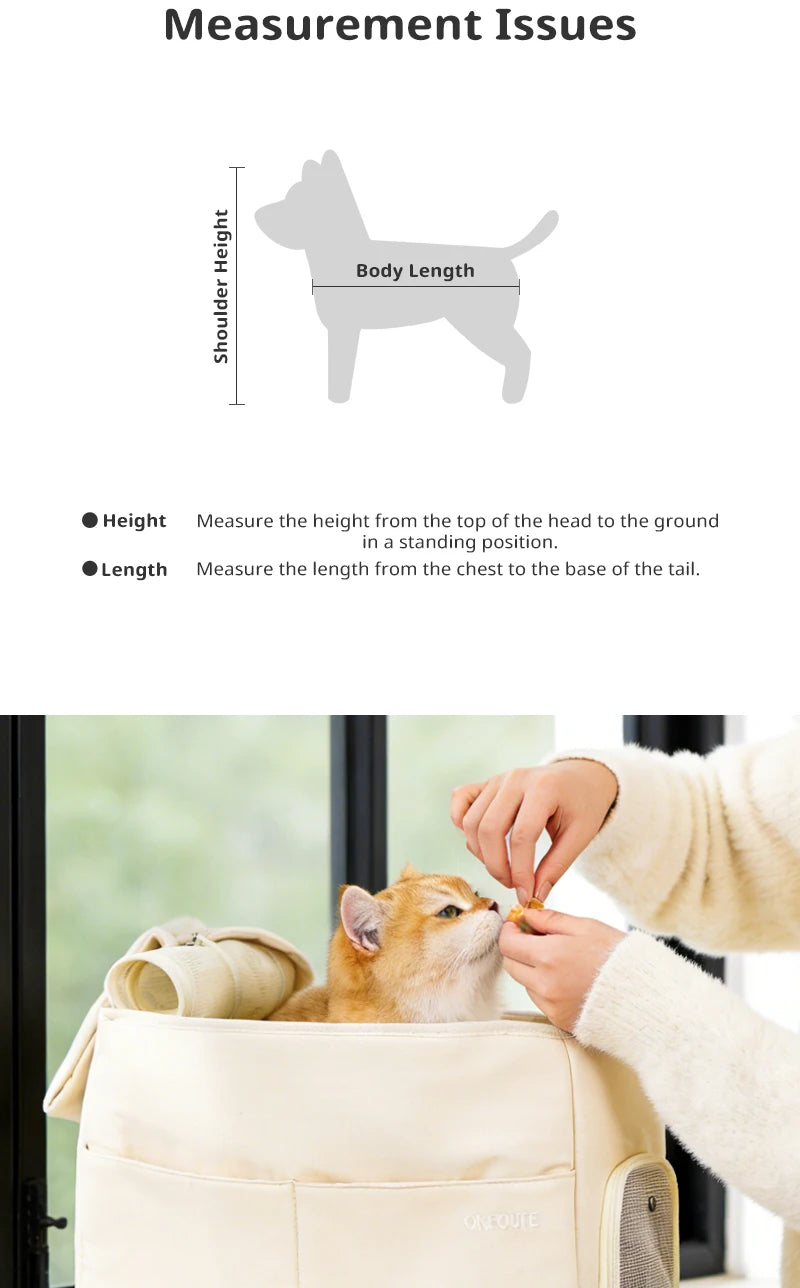 Dog supplies Puppy carrier Carrier for dogs for cats and small dogs to carry outdoors than bears.