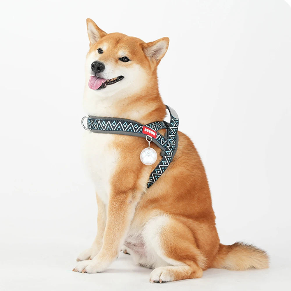 Dog Harness Fashion Printed Saddle, Soft Adjustable No-pull Padded  Vest with Handle for pet all  Breeds