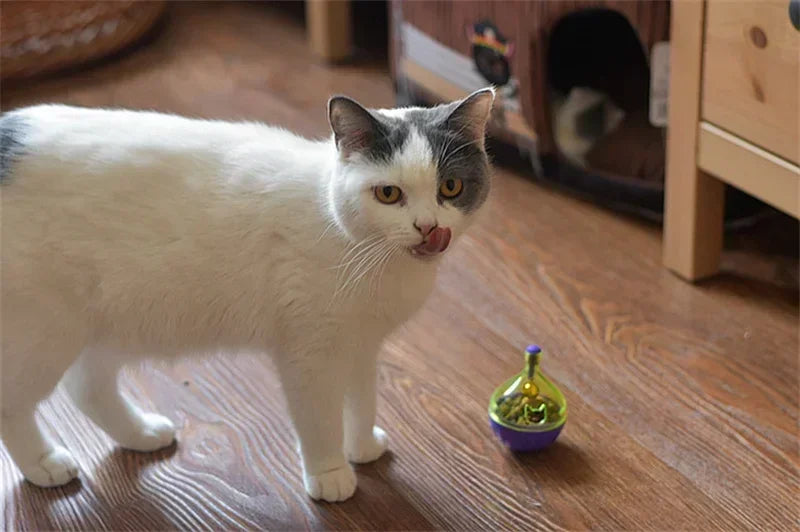 New Pet Toy Food Leakage Tumbler Feeder Treat Ball Cute Little Mouse Toys Interactive Toy for Cat Food Slow Feeding Supplies