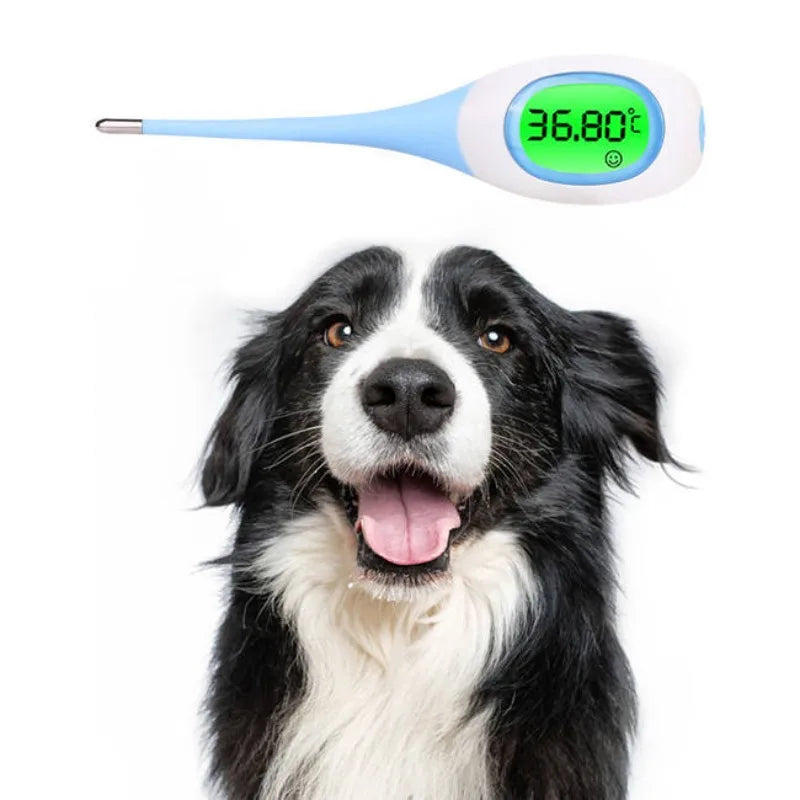 Professional LED Pet Thermometer for Dogs & Cats - Safe Dry/Wet Vet Thermometer, Pet Medical Equipment