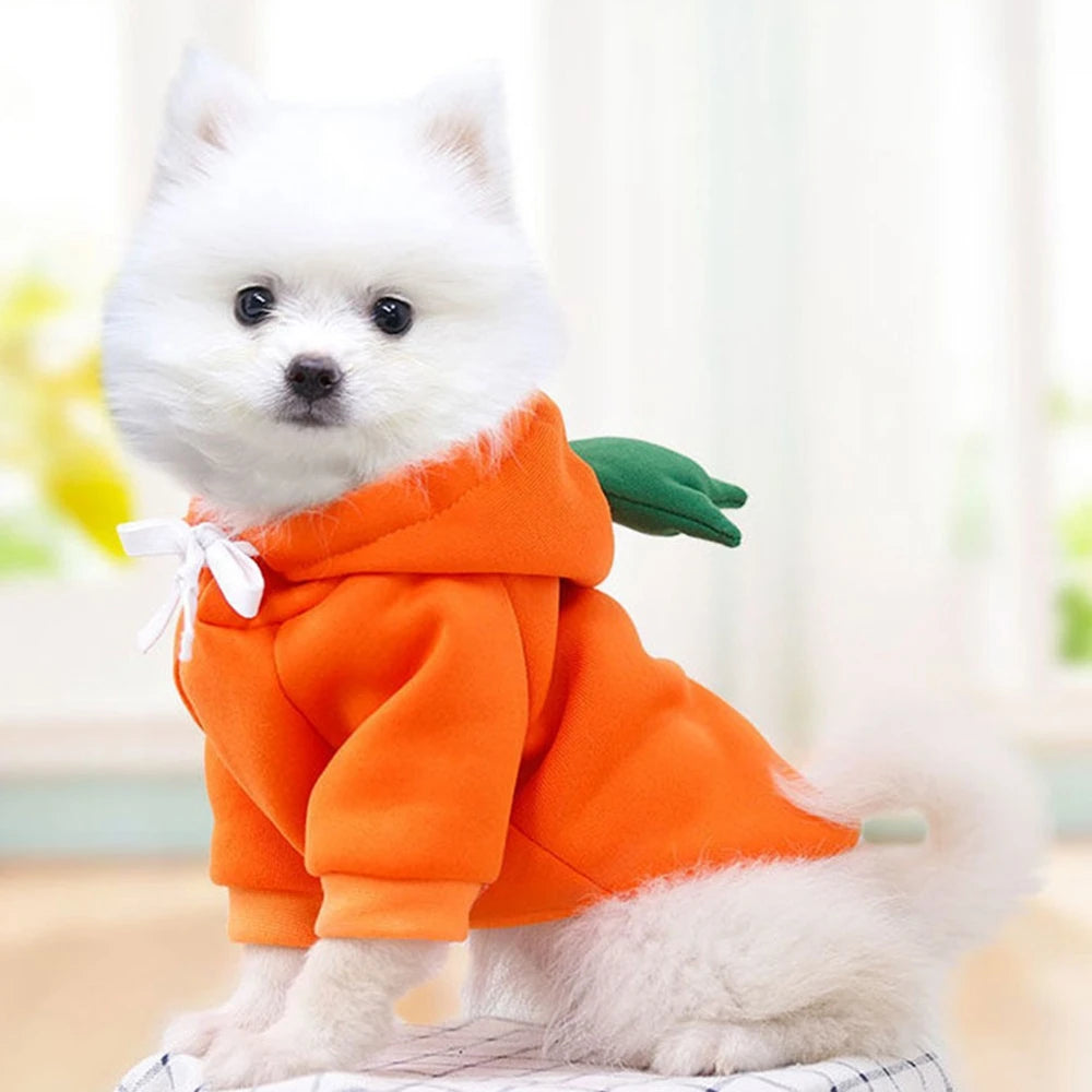 Pet Dog Winter Sweatshirt – Cute Costume with Hood & Two-Leg Fit, Warm Soft Pullover for Small/Medium/Large Dogs ﻿