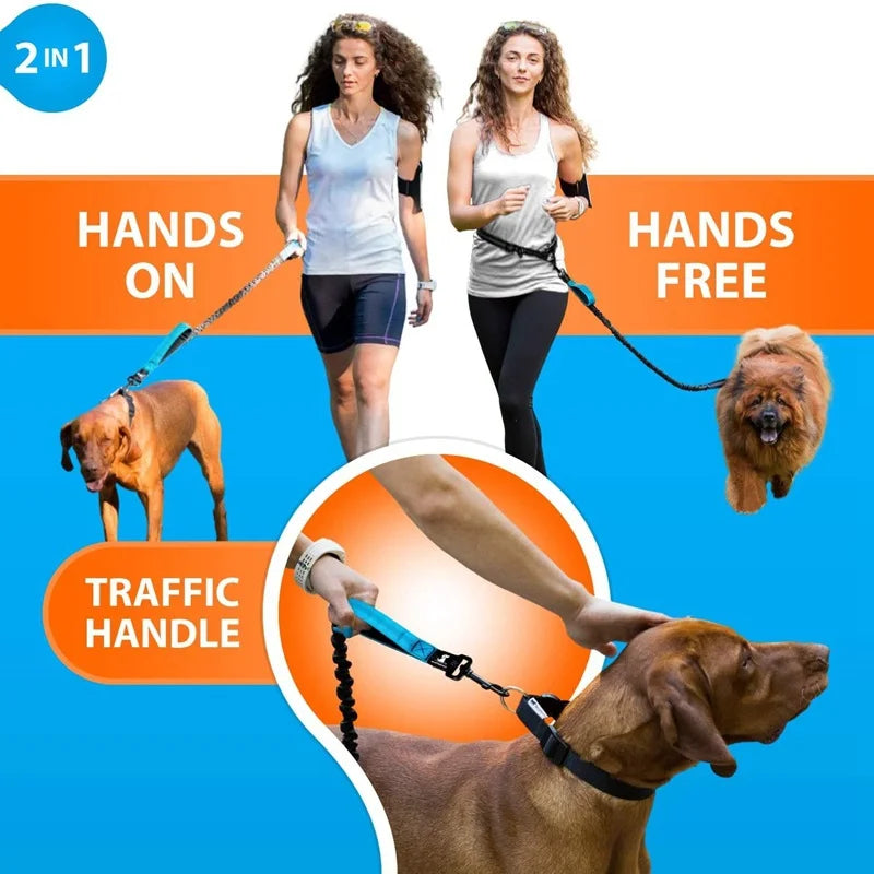 Double elastic reflective running leash portable retractable dog leash dog chain leash pet supplies wholesale