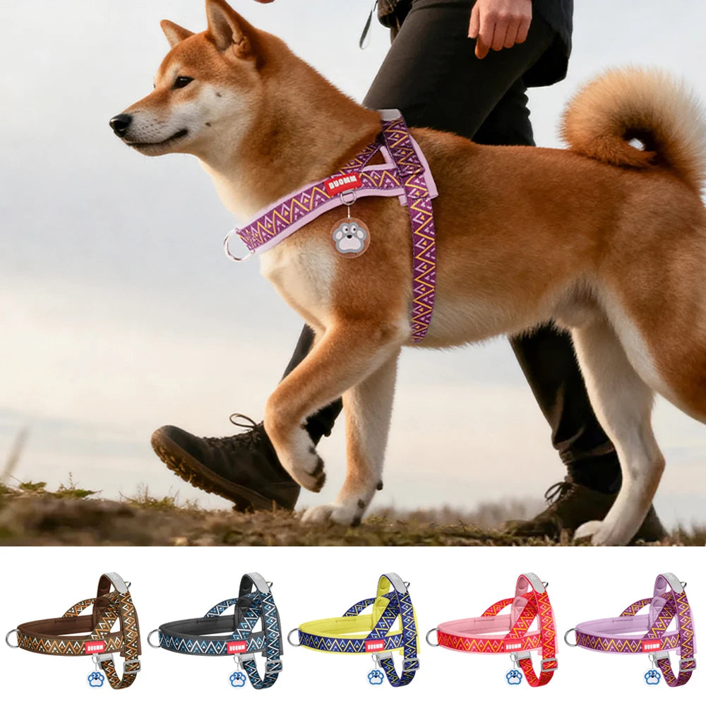 Dog Harness Fashion Printed Saddle, Soft Adjustable No-pull Padded  Vest with Handle for pet all  Breeds