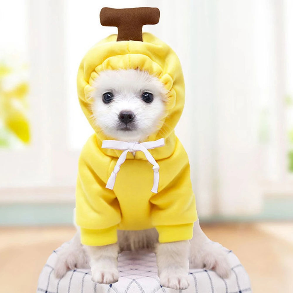 Pet Dog Winter Sweatshirt – Cute Costume with Hood & Two-Leg Fit, Warm Soft Pullover for Small/Medium/Large Dogs ﻿