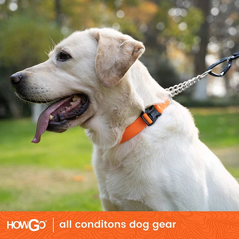 Adjustable Dog Martingale Collar Training Collar Chain No Pull Pet Chocker Waterproof Walking Outdoor for Small Medium Large Dog